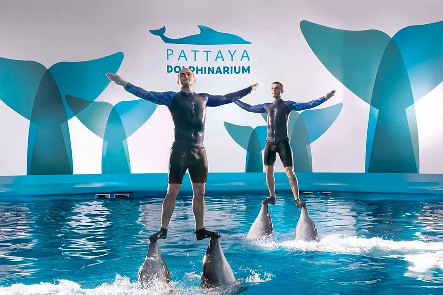 Dolphinarium Pattaya Tickets: Non-Thai Residents, Pattaya