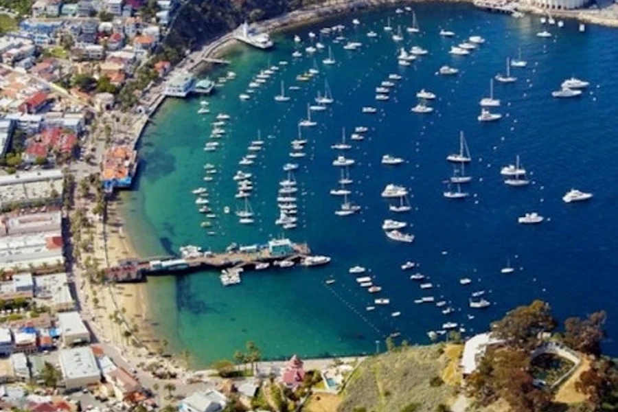 Pulau Catalina: Lawatan Sehari + Pemanduan Pemandangan, Los Angeles