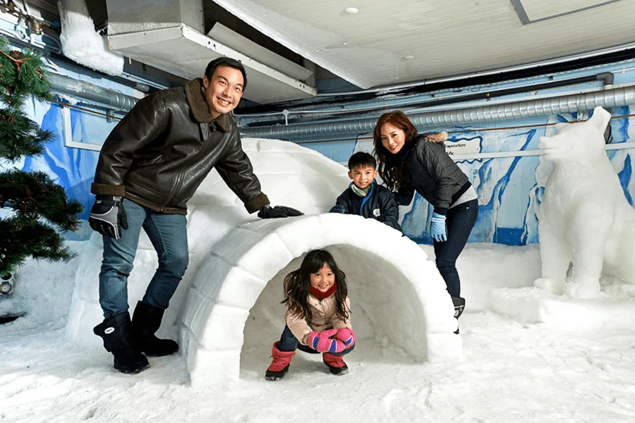 Singapore Snow City Tickets, Singapore