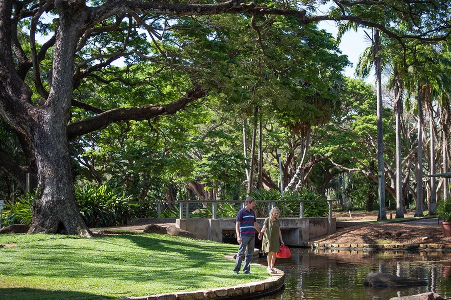 Guided Half-Day City Tour of Darwin, Darwin