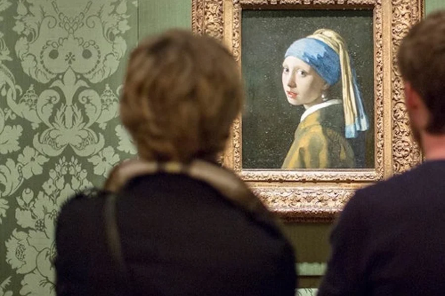 The Mauritshuis Museum: Entry Ticket, The Hague