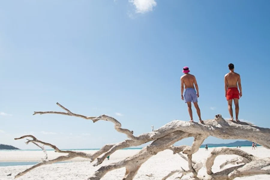 Whitehaven Beach: Half-Day Morning or Afternoon Cruise from Airlie Beach, Airlie Beach
