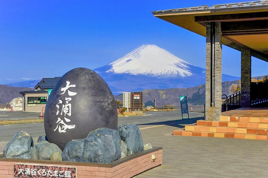 Wycieczka na Górę Fuji i do Hakone z wielojęzycznym przewodnikiem oraz luksusowym transferem klimatyzowanym autokarem, Tokyo