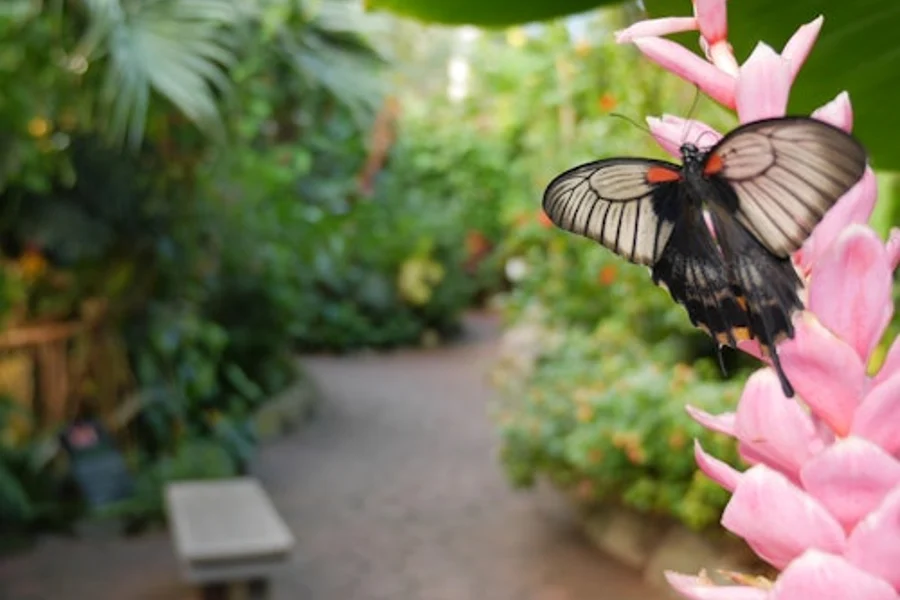 Victoria Butterfly Gardens: Entry Ticket, Vancouver