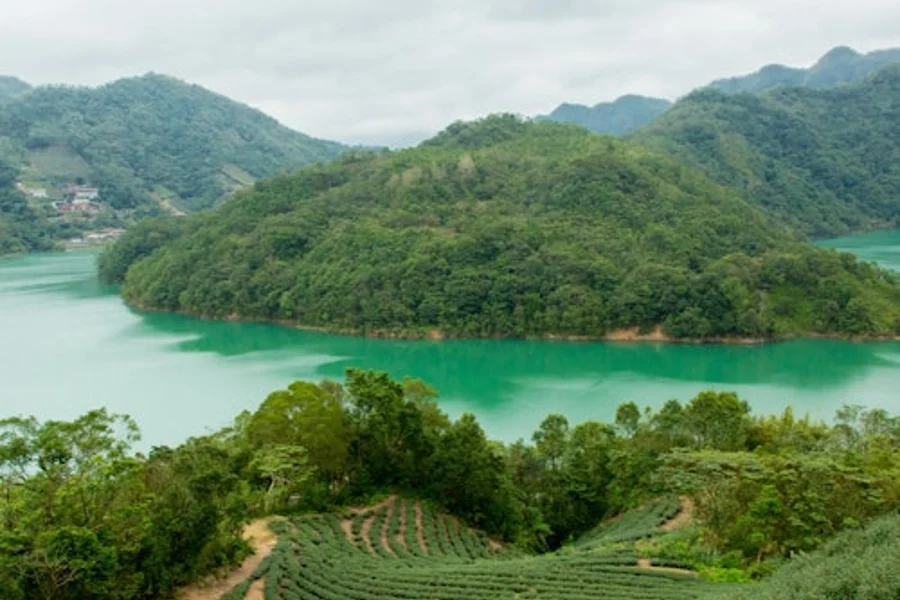 Thousand Island Lake & Pinglin Tea Plantation: Afternoon Tour from Taipei, Taipei