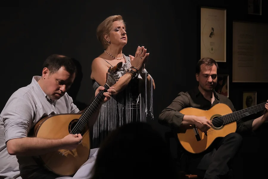 Tickets to Traditional Fado Concert at Ideal Clube, Porto