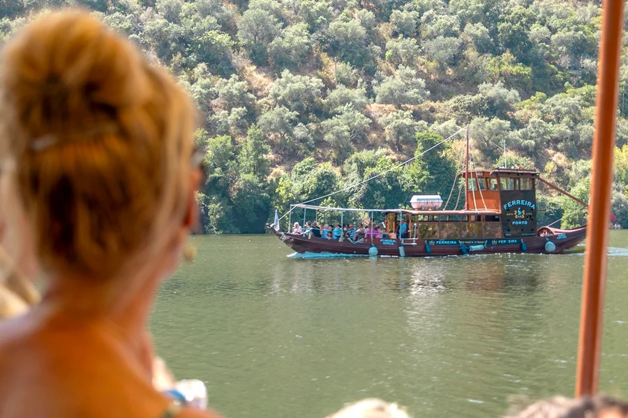 Dari Porto: Lawatan Sehari Penuh ke Lembah Douro dengan Pelayaran Sungai, Makan Tengah Hari & Sampelan, Porto