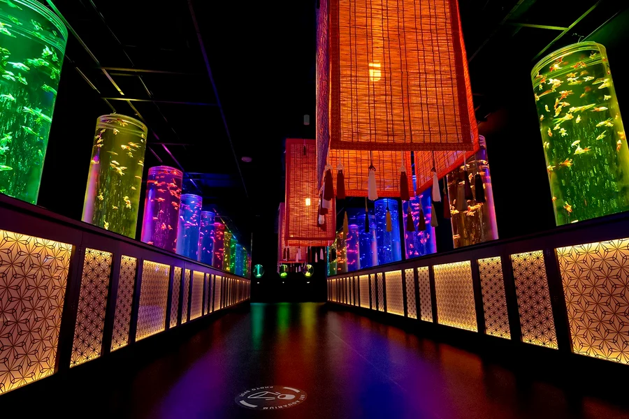 Vé tham quan Bảo tàng Thủy cung Nghệ thuật Ginza, at ART AQUARIUM MUSEUM, Tokyo