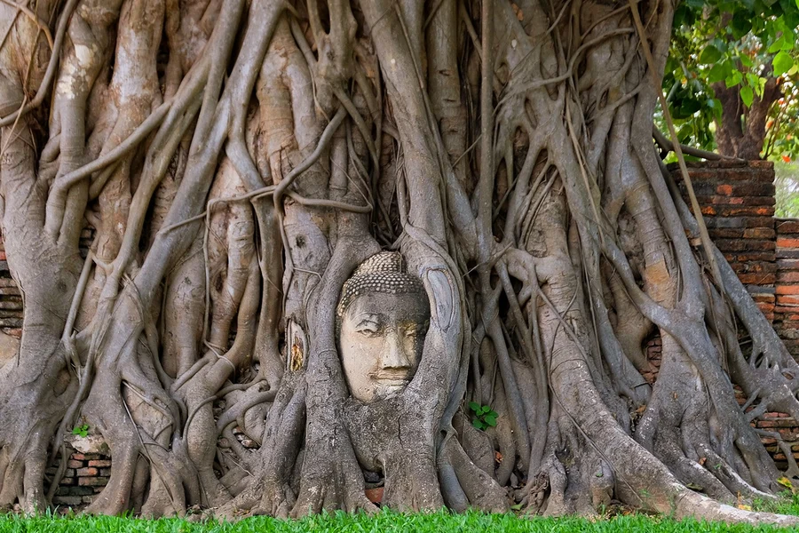 Ayutthaya Historical Temples Afternoon Tour with Bang Pa-In Palace & Night Market Visit, Bangkok