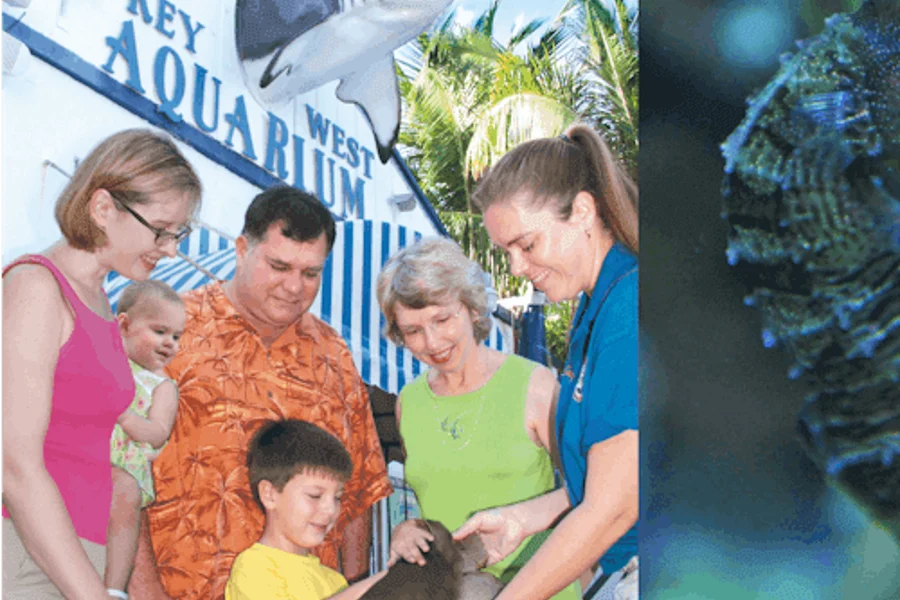 Key West Aquarium: Entry Ticket, Key West