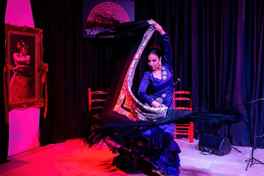 La Alboreá - Flamenco Show, Granada