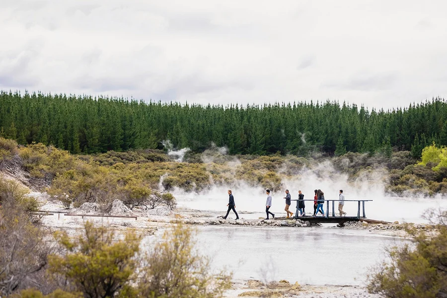 Hell's Gate Geothermal Walk & Māori Carving Tickets, Rotorua