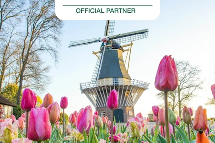 Keukenhof: Sisäänpääsylippu + Tuulimyllyristeily + Kuljetus, Amsterdam