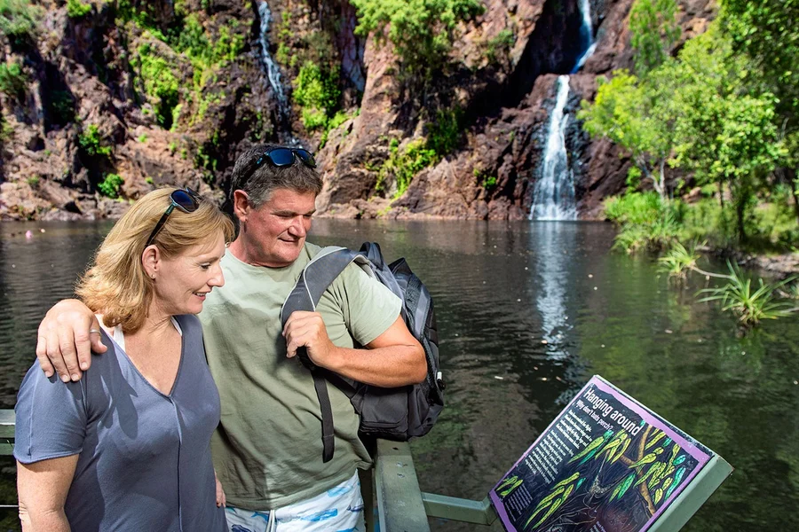 From Darwin: Litchfield National Park Day Tour with Optional Lunch, Darwin