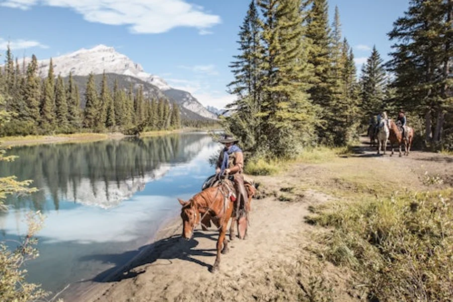 Cowboy Cookout: Wagon Ride from Banff, Banff