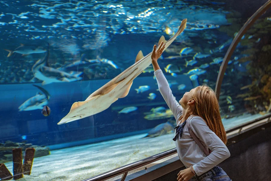 Barcelona Aquarium Skip-the-Line Tickets, Barcelona