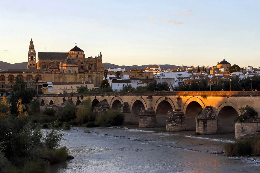 Tour guidato di un'intera giornata a Cordoba da Siviglia per piccoli gruppi, Seville