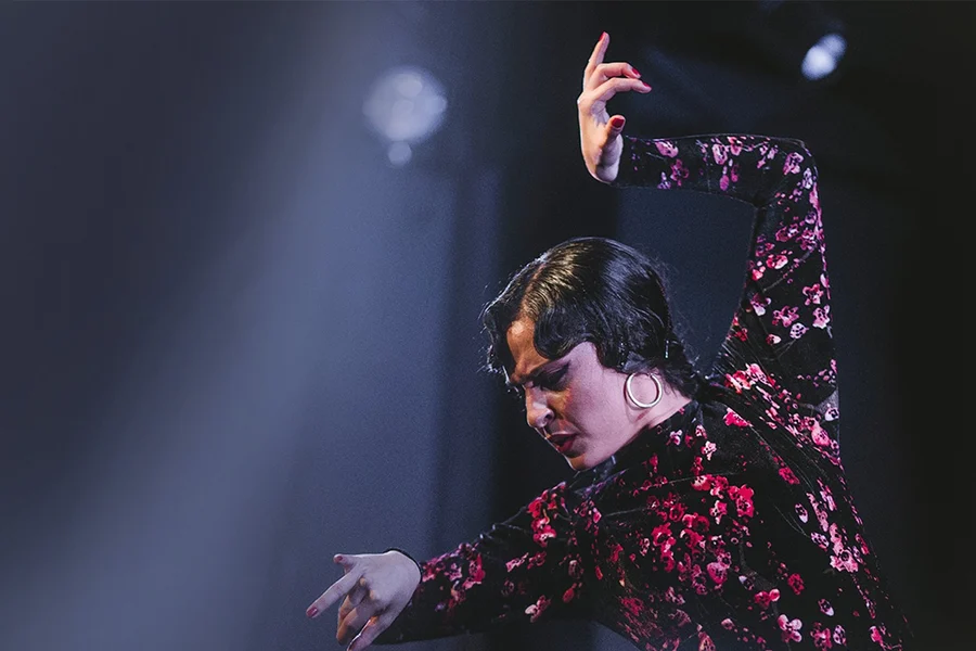 Casa Ana 弗拉门戈表演, at Tablao Flamenco Casa Ana Granada, Granada