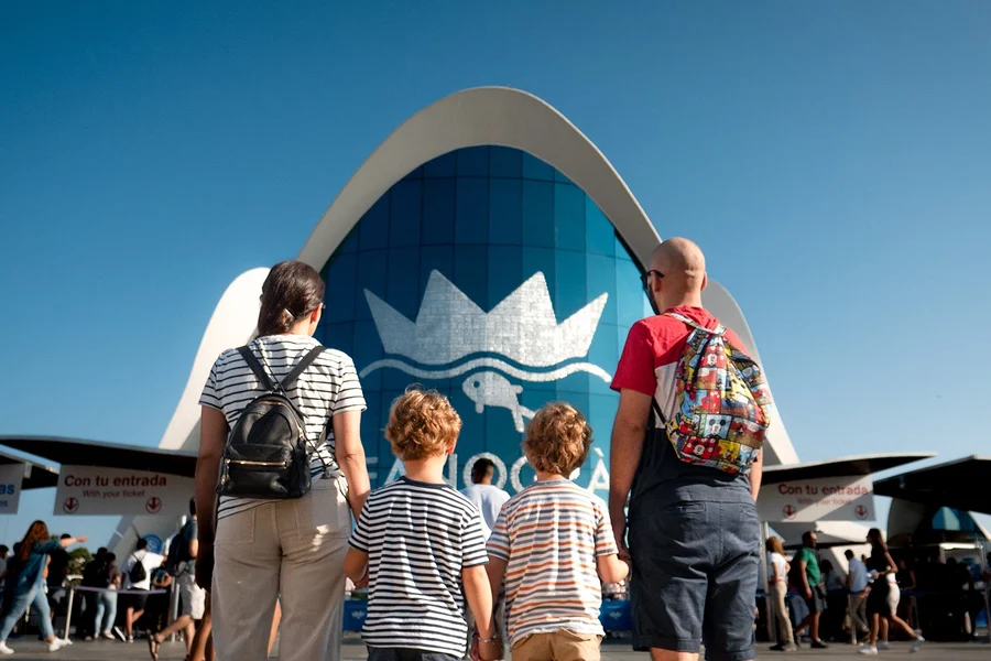 海洋馆门票,附带可选的4D影院, at Oceanogràfic, Valencia
