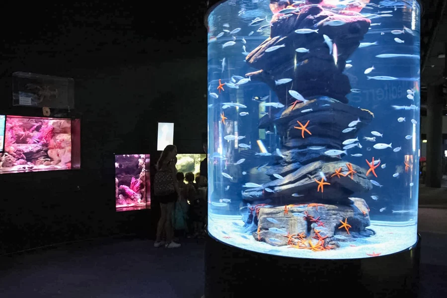 Biglietti per l'Acquario di Parigi, at Aquarium de Paris, Paris