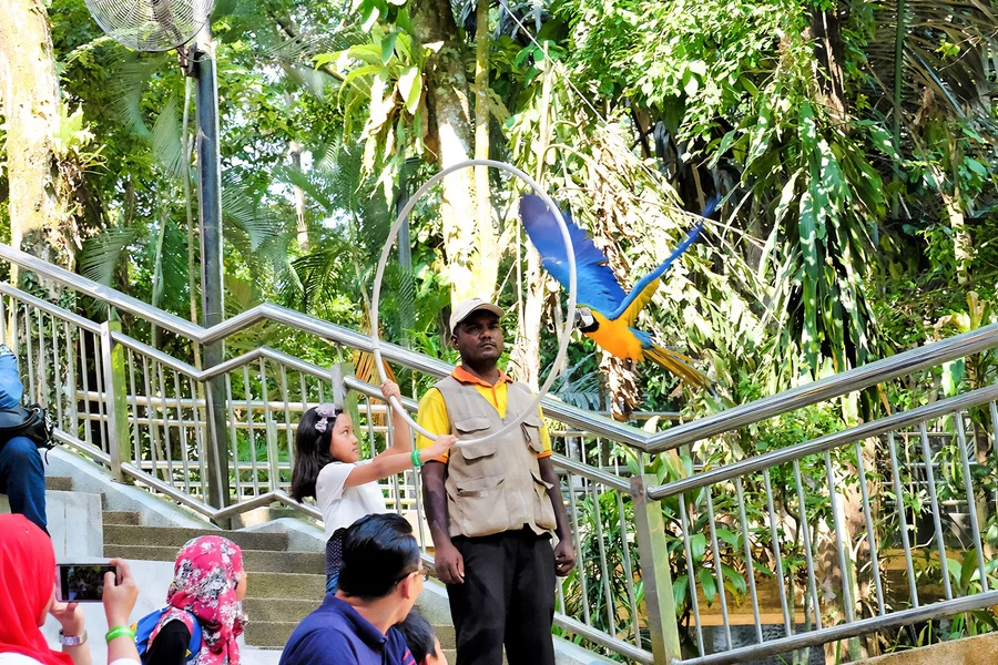Kuala Lumpur Bird Park, Butterfly Park with Orchid and Hibiscus Garden Day Tour, at 920, Jalan Cenderawasih, Tasik Perdana, Kuala Lumpur