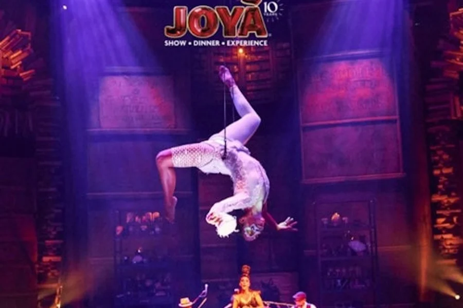 Cirque Du Soleil JOYÀ: Resident Show in Riviera Maya, Playa del Carmen