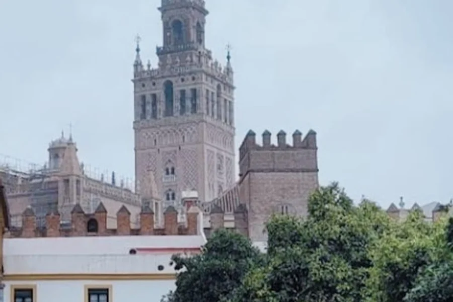 Santa Cruz Seville: Guided Walking Tour, Seville