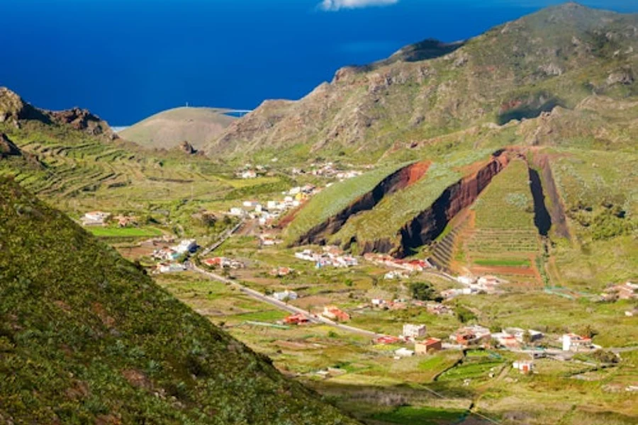 Masca Hamlet & Teno Massif: Guided Hiking Tour from Las Portelas, Tenerife