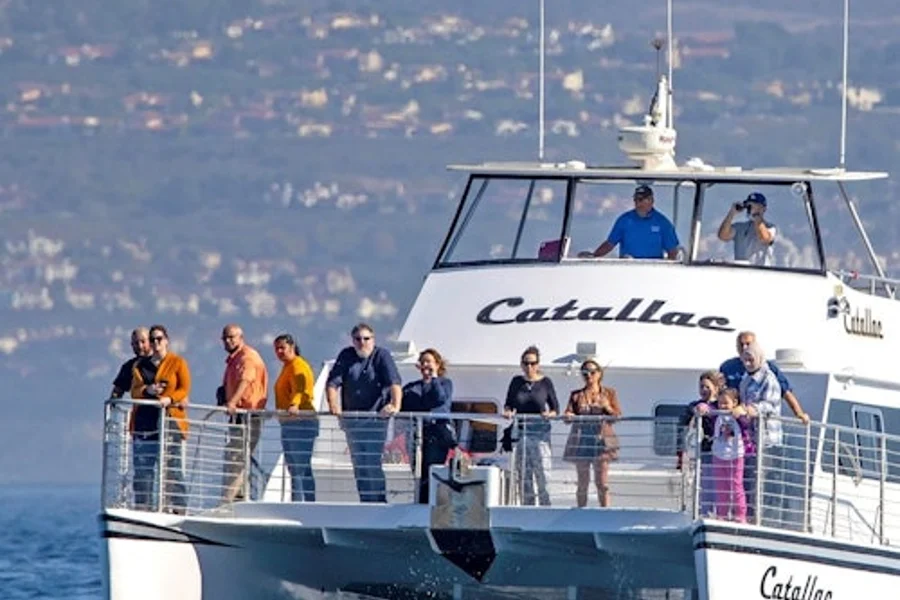 Los Angeles: Luxury Whale Watching Tour, Los Angeles