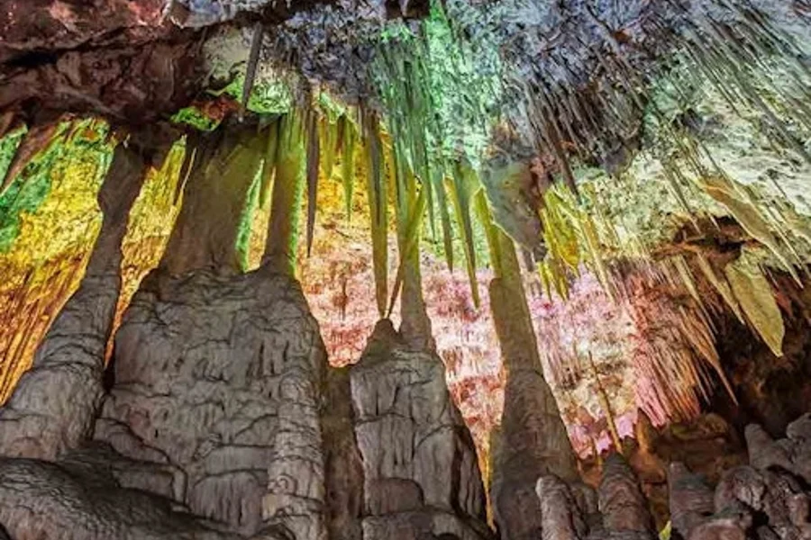 Dinosaurland & Caves dels Hams: Combiticket, Porto Cristo