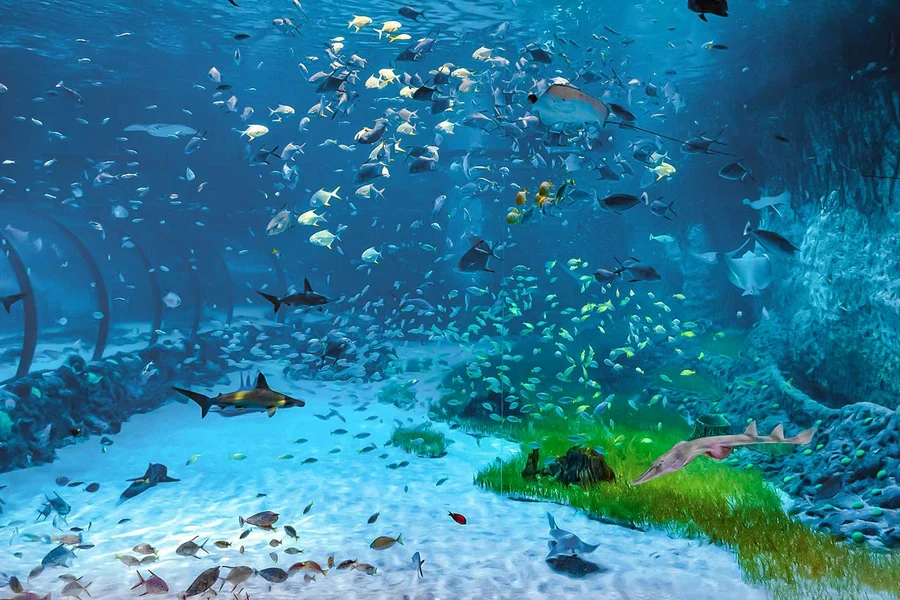 Combo: National Aquarium Abu Dhabi + Al Qana Attractions, Abu Dhabi