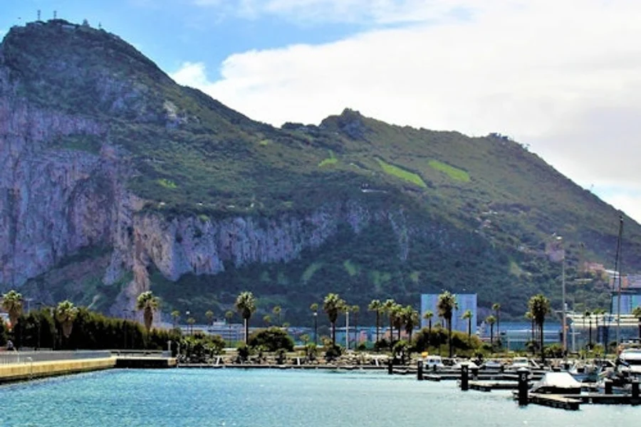 Rock of Gibraltar: Day Trip from Málaga, Gibraltar