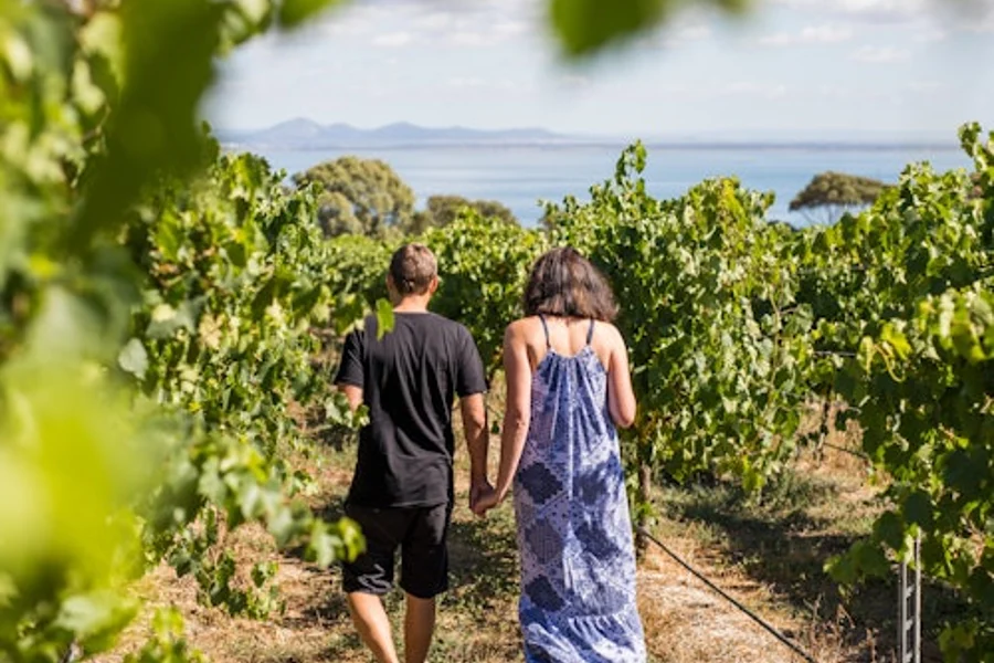 Around the Bay: Day Trip from Melbourne with Food & Wine Tastings, Melbourne