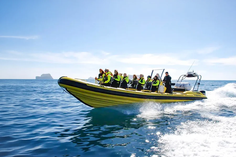 Reykjavik: Whale Watching Tour on RIB Speedboat, at Reykjavík, Reykjavik