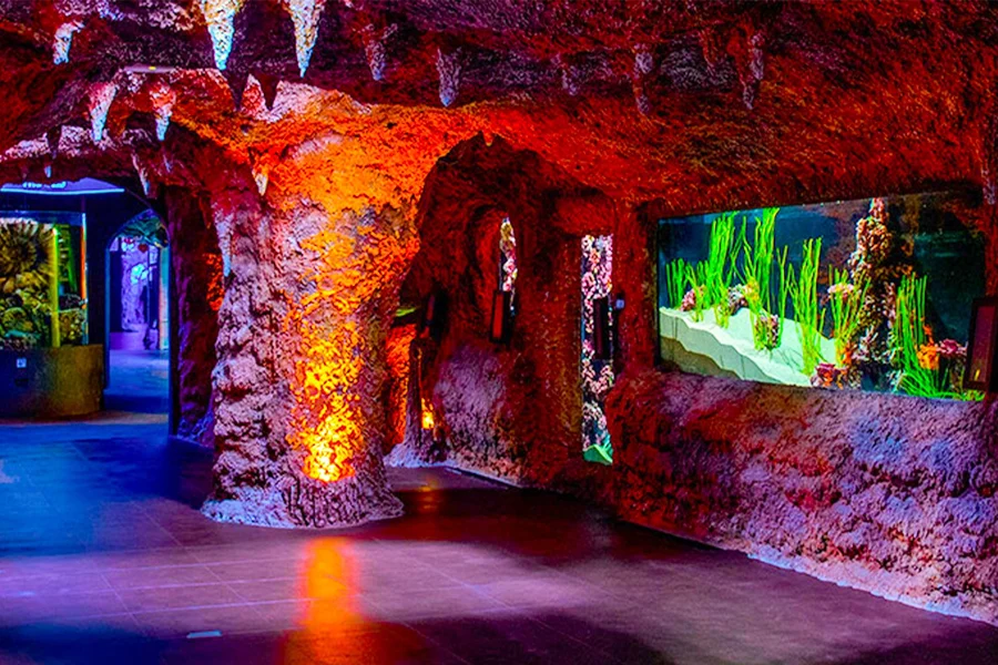 National Aquarium Abu Dhabi Entry Ticket + Beyond The Glass Experience, Abu Dhabi