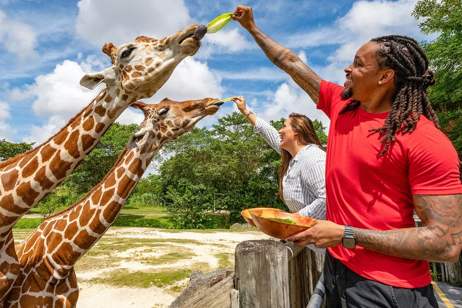Zoo Miami Tickets, Miami