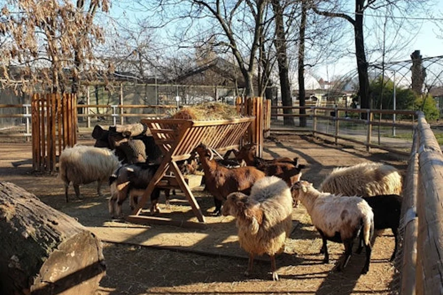 Oradea Zoo: Meet & Greet, Oradea