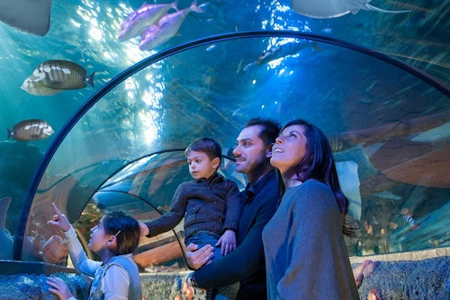 Gardaland SEA LIFE Aquarium: Entry Ticket, Castelnuovo Del Garda