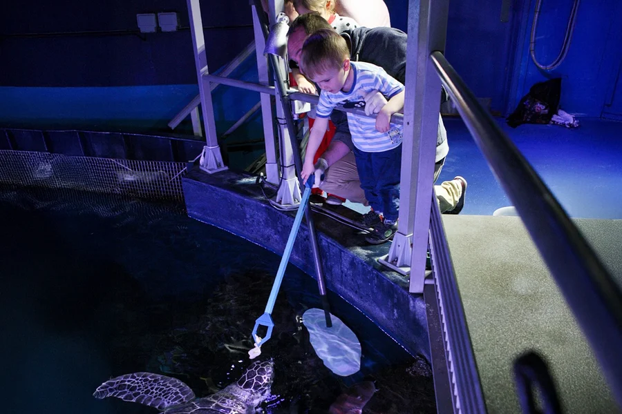 Тур за кулисами в лондонском аквариуме SEA LIFE, London