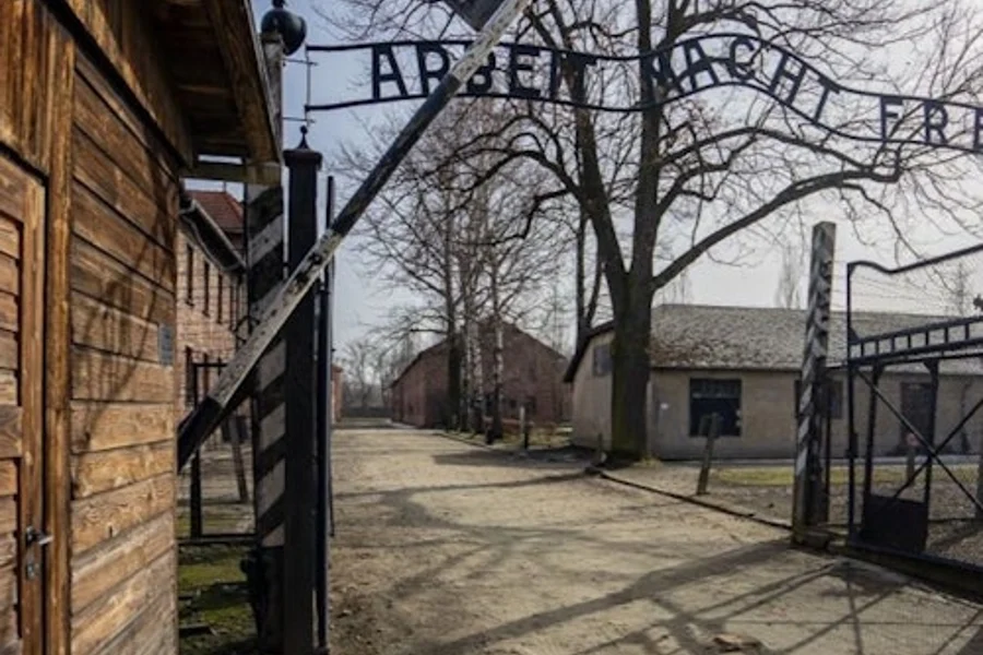 Auschwitz-Birkenau: Guided Tour + Transport, Krakow