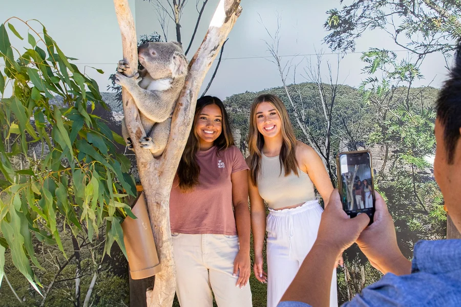 Blue Mountains Beat-the-Crowd Tour: Scenic World, Sydney Zoo & Harbour Ferry Return, Sydney