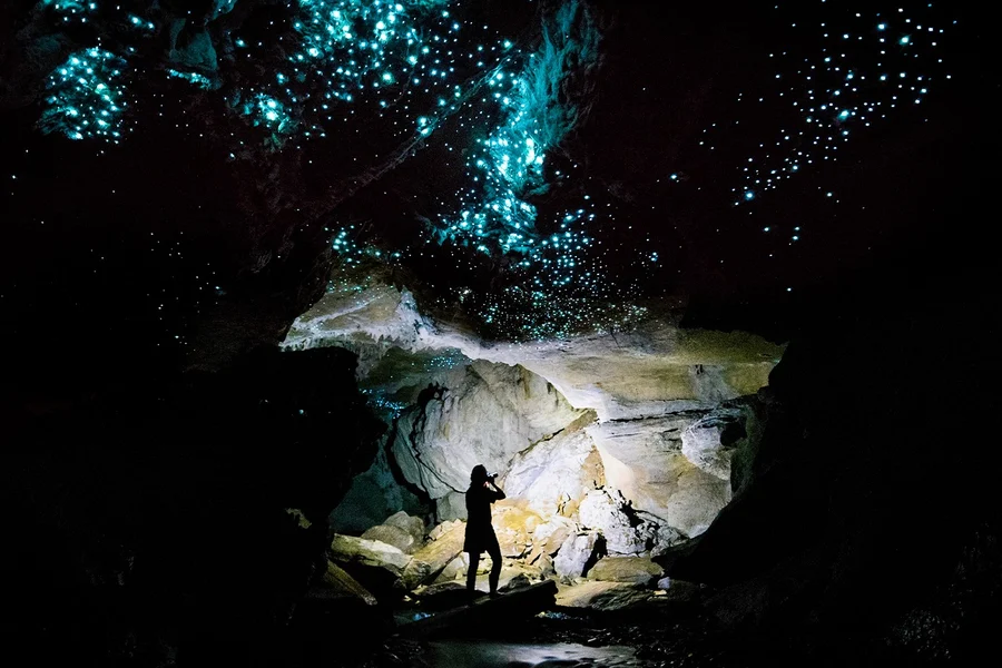 Offbeat Waitomo Glowworm Cave Small Group Guided Tour, Waitomo